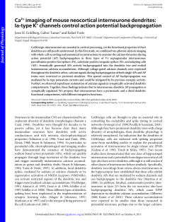 Ca2+ imaging of mouse neocortical interneurone dendrites: Ia