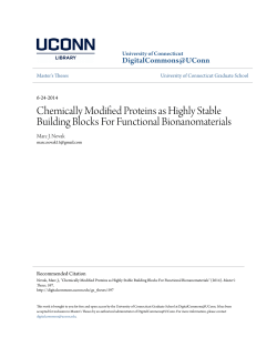 Chemically Modified Proteins as Highly Stable Building Blocks For