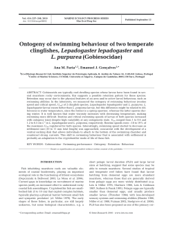 Ontogeny of swimming behaviour of two temperate clingfishes