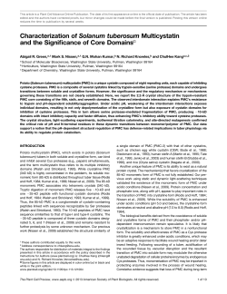 Characterization of Solanum tuberosum