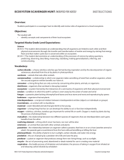 ecosystem scavenger hunt (modified for adeed)