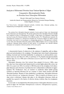 Analysis of ribosomal proteins from various
