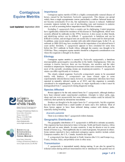 Contagious Equine Metritis Fact Sheet