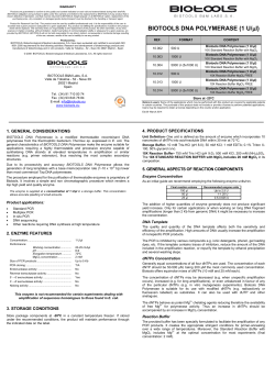BIOTOOLS DNA POLYMERASE (1 U/&mu;l)