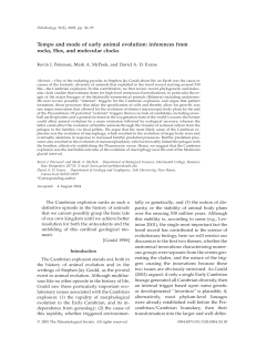 Tempo and mode of early animal evolution