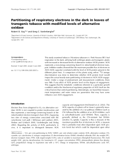 Partitioning of respiratory electrons in the dark in leaves of