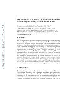 Self assembly of a model multicellular organism resembling the