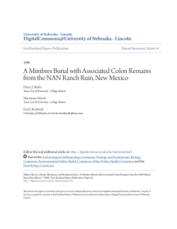 A Mimbres Burial with Associated Colon Remains from the NAN