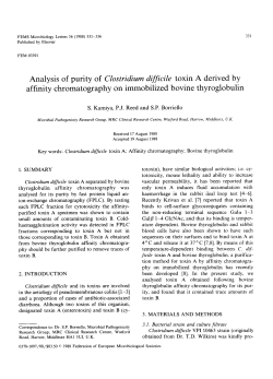 Analysis of purity of Clostridium difficile toxin A derived by affinity