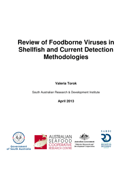 Review of Foodborne Viruses in Shellfish and Current