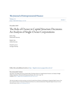 The Role of Owner in Capital Structure Decisions