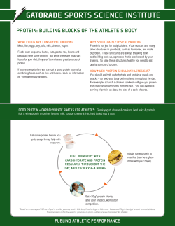 protein: building blocks of the athlete`s body