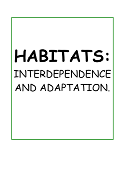 Habitats: Interdependence and Adaptation