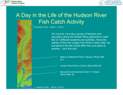 A Day in the Life of the Hudson River Fish Catch Activity