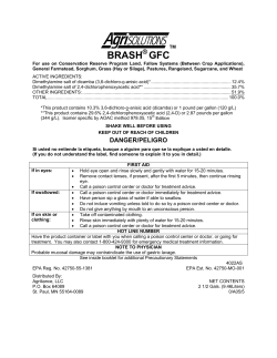BRASH GFC