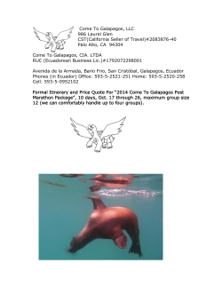 Flying Tortoise Marathon And Running Events