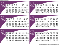 Number Magic - Mr Magic Family Entertainment