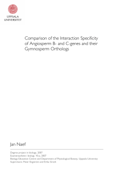 Comparison of the Interaction Specificity of Angiosperm B