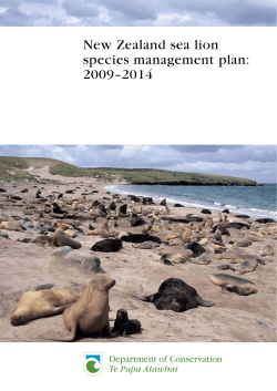 New Zealand sea lion species management plan: 2009