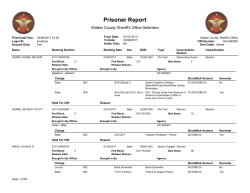 Prisoner Report