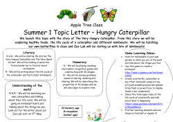 hungry caterpillar newsletter 2017
