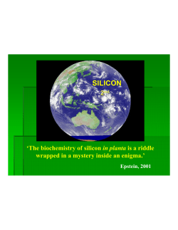 SILICON