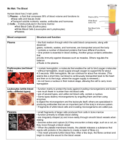 The Blood Human blood has 2 main parts