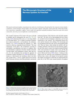 The Microscopic Structure of the Nervous System: Its