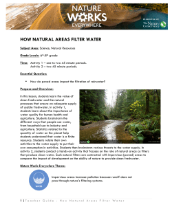 how natural areas filter water