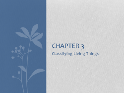 Chapter 3 - Dr. Tricia Britton