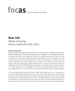 Bear Life - Weather permitting