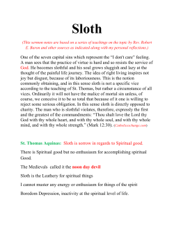 Sloth