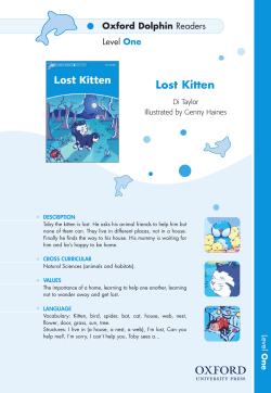Lost Kitten
