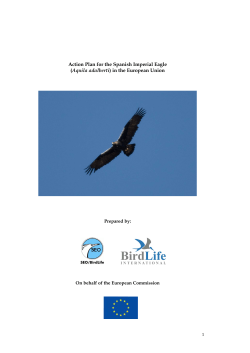 Action plan for the Spanish Imperial Eagle (Aquila