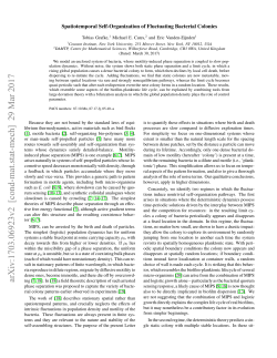 Spatiotemporal Self-Organization of Fluctuating Bacterial Colonies