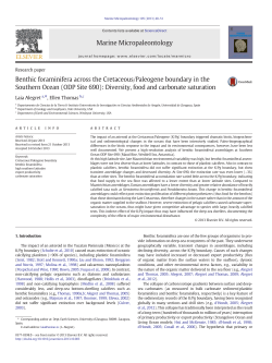 Benthic foraminifera across the Cretaceous/Paleogene boundary in