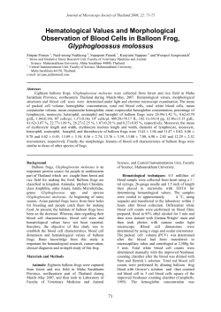 Hematological Values and Morphological Observation of Blood