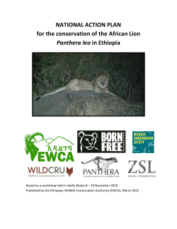 conservation strategy for the lion