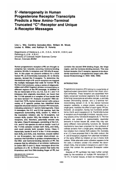 5`-Heterogeneity in Human Progesterone Receptor Transcripts