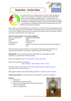 Respiration - Teacher Notes File