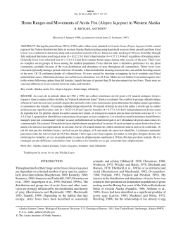 Home Ranges and Movements of Arctic Fox (Alopex lagopus) in