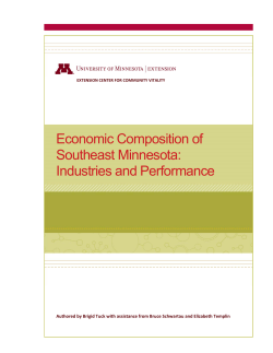 Economic Composition of Southeast Minnesota