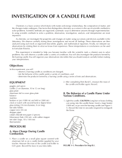 INVESTIGATION OF A CANDLE FLAME