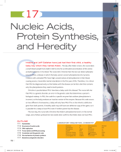 Nucleic Acids, Protein Synthesis, and Heredity
