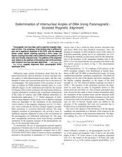 Determination of Internuclear Angles of DNA Using Paramagnetic