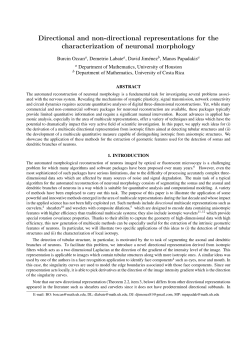 Directional and non-directional representations for the