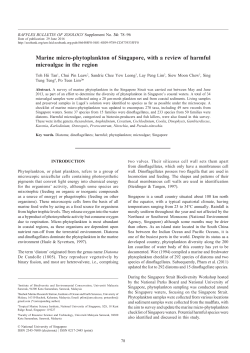 Marine micro-phytoplankton of Singapore, with a review of harmful