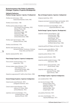 Revised taxonomy of the Felidae