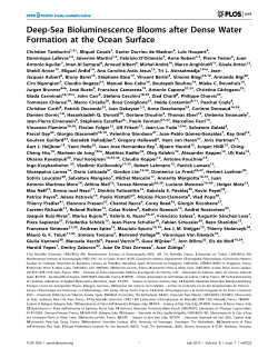 Deep-Sea Bioluminescence Blooms after Dense Water Formation at