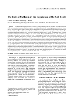 The role of stathmin in the regulation of the cell cycle
